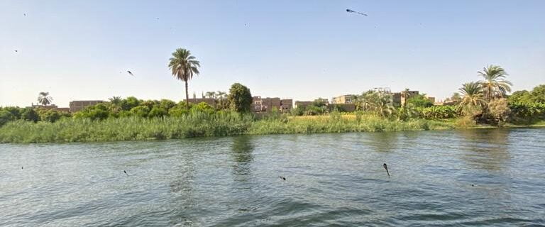 Nile Cruise