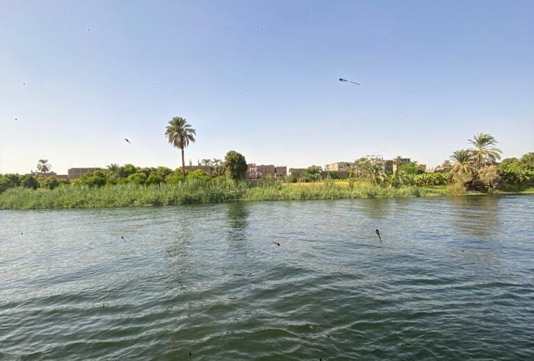 Nile Cruise